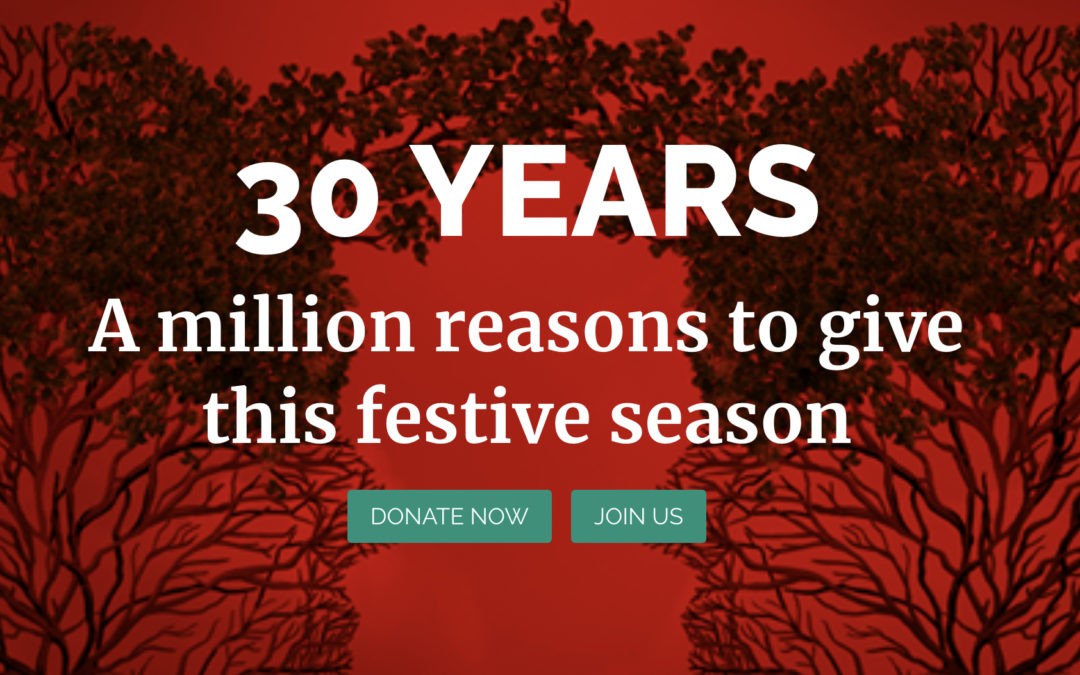 30 Years! A million reasons to give this festive season